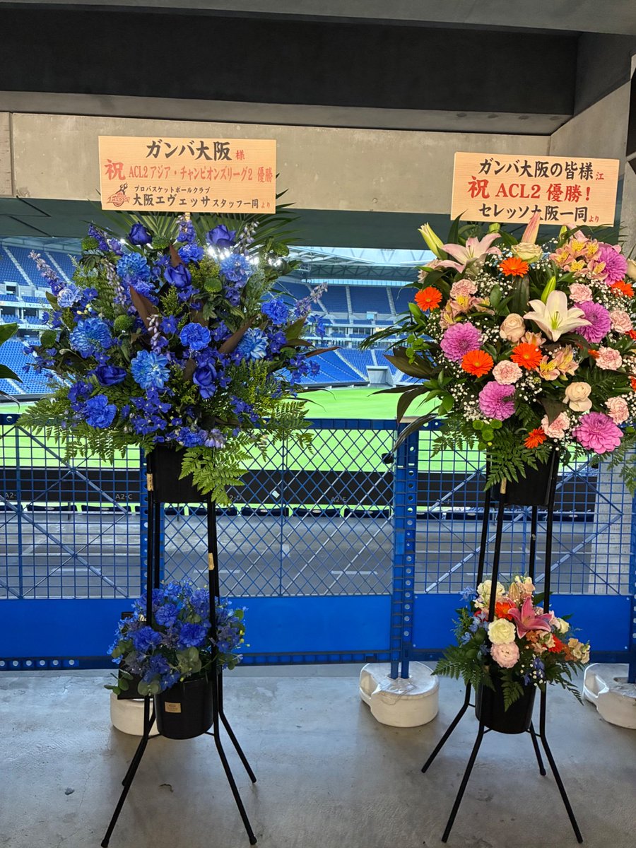 Balón de Japón⚽️ 🇯🇵 tweet media