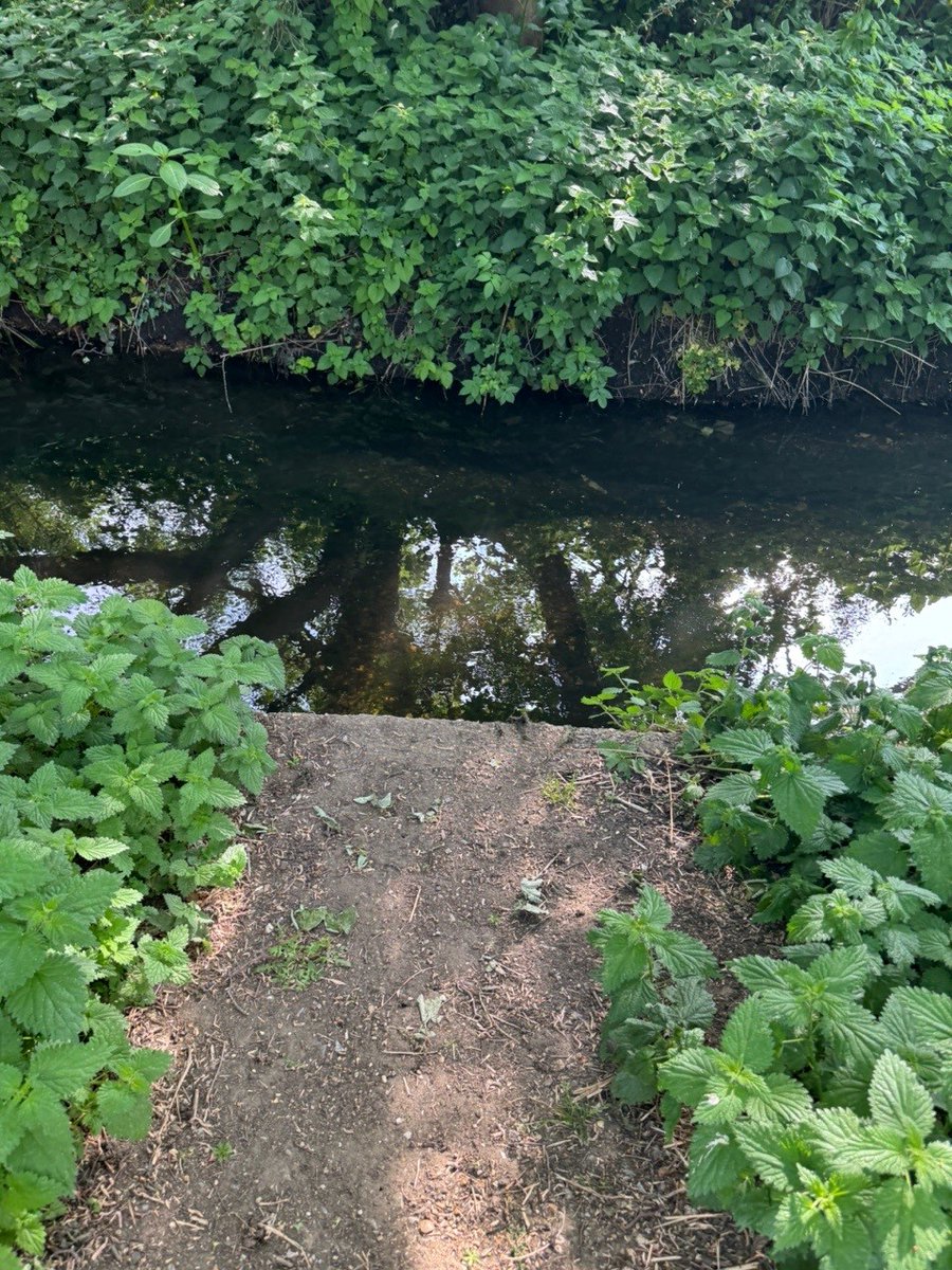 EnvAgencySE's tweet photo. Do you know how to report a 'blockage' on your local river or stream?

We removed a blockage from the 'Pickle Ditch' near Merton High Street after it was reported to us.

It was done using our 'report a blockage' webpage here - https://t.co/7dKqQ7q27I https://t.co/X2oyYSoiHf