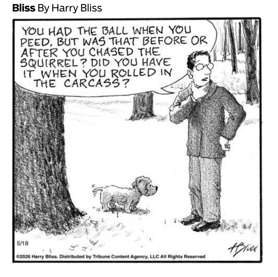 Why Dogs Are Better tweet media