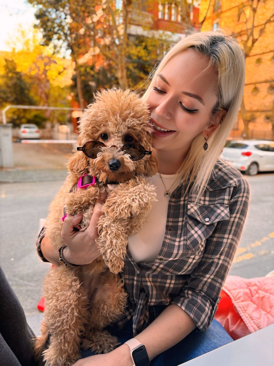 mamay_ss's tweet photo. Diyolar ki;
Her bir fav Fındık kurdumdan size iyi şans olarak dönecekmiş 🥰

#manifesting #YeniProfilResmi #poodle https://t.co/8j96ChhUUi