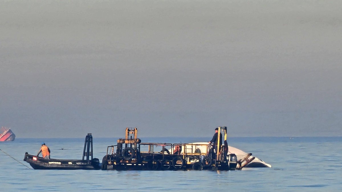BioPasan's tweet photo. NOTICIA 

Ballena encontrada muerta frente a puerto de Coronel 

Mañana de hoy Lunes 18 de mayo 2026 https://t.co/HUu07auxmf