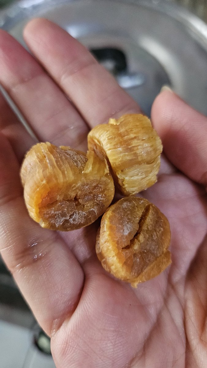 aoikotori | อาโออิโคโทริ | 青い小鳥 tweet media
