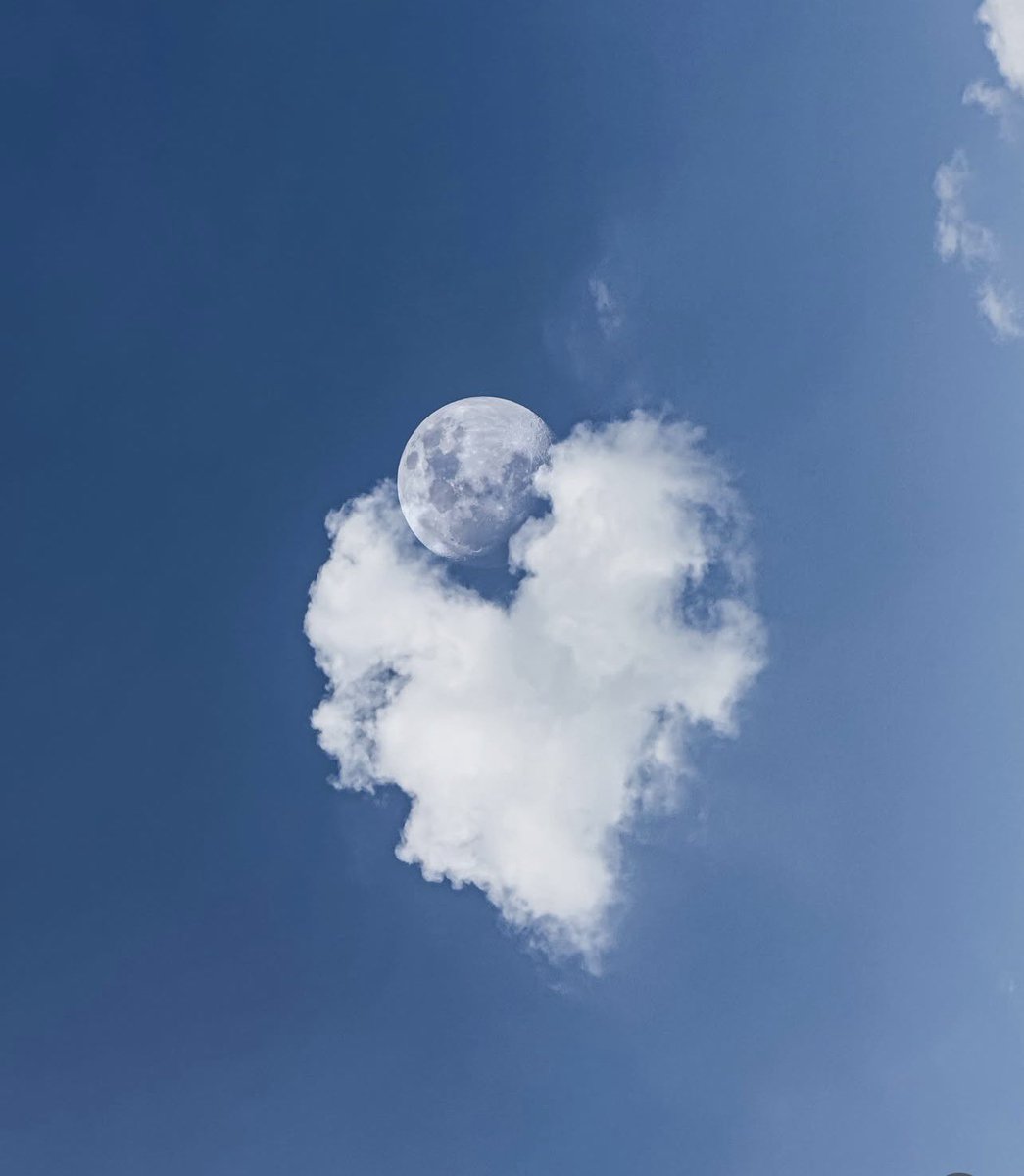 MOON LOVER tweet media