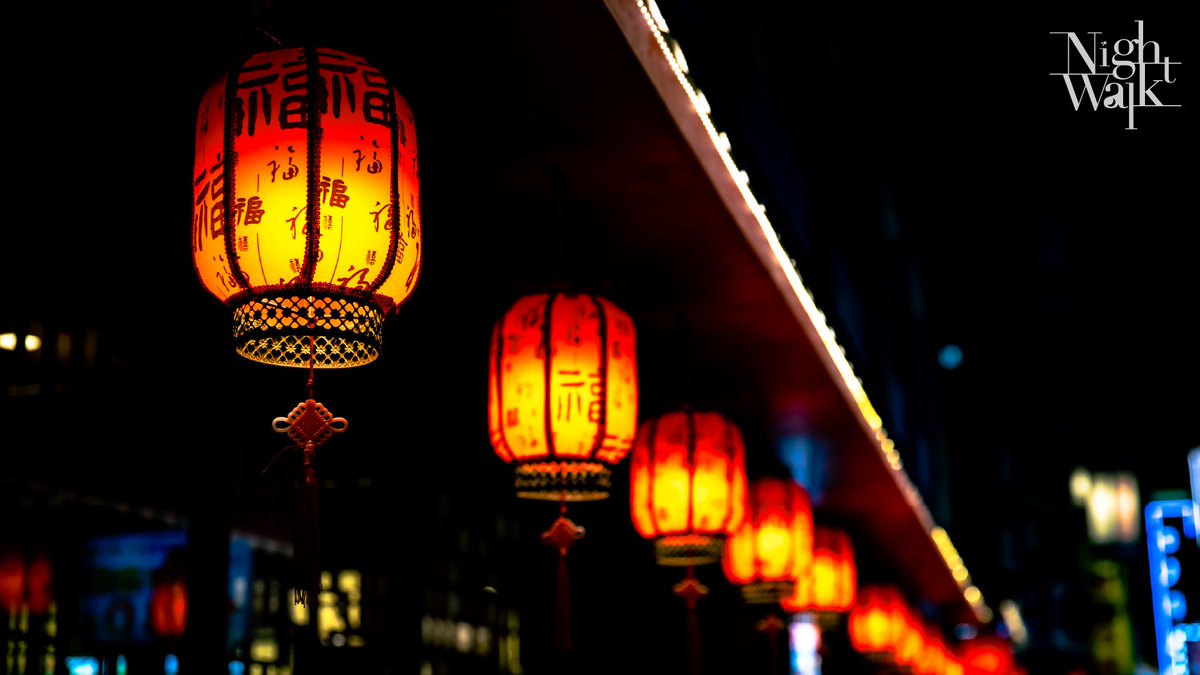 【2026.05.17】Night Walk #snapshots
