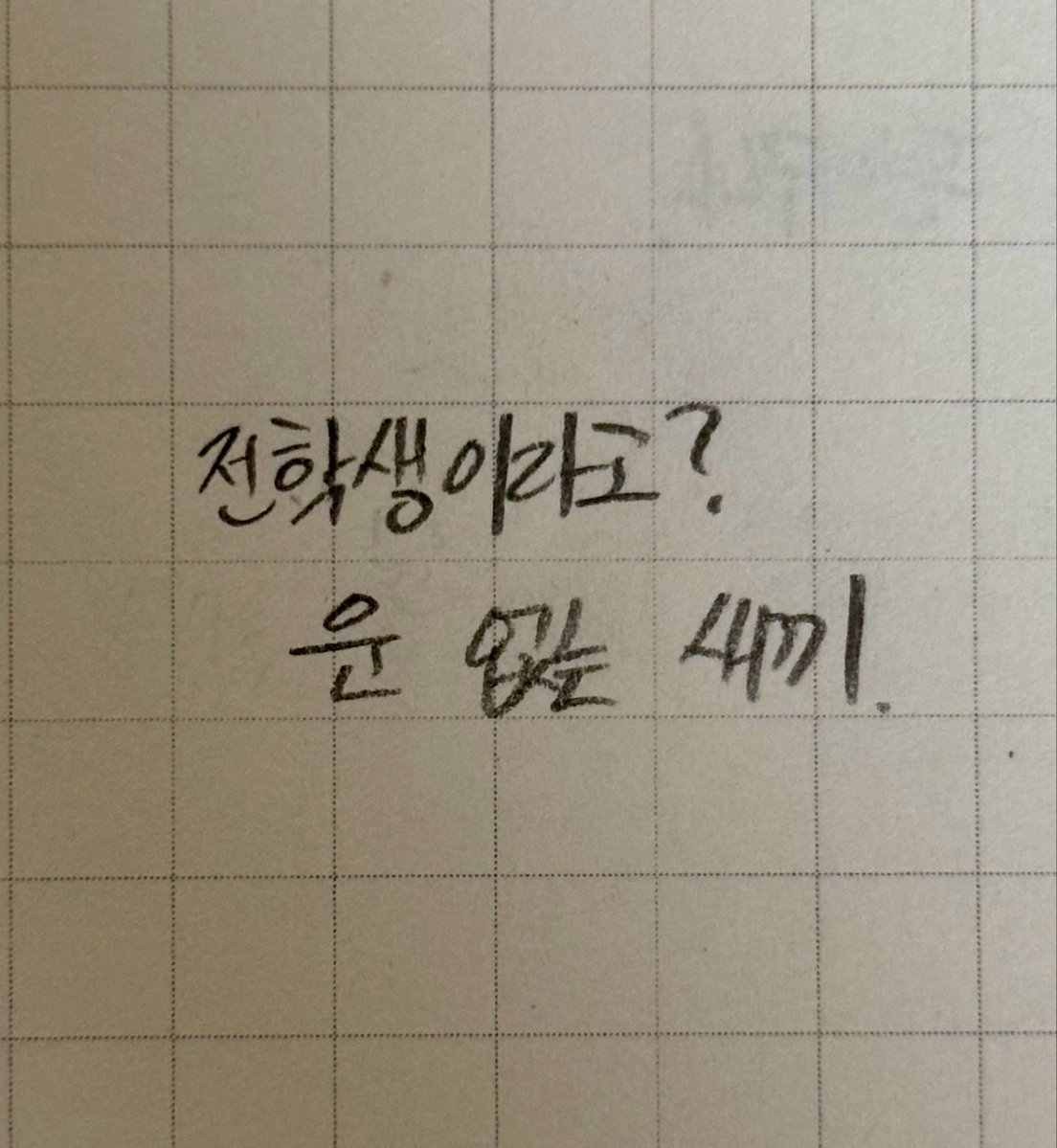 이사님 tweet media