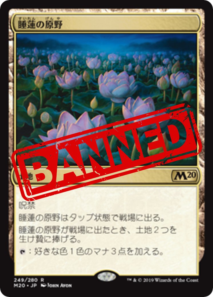 リーヴァ🐉🪷 tweet media