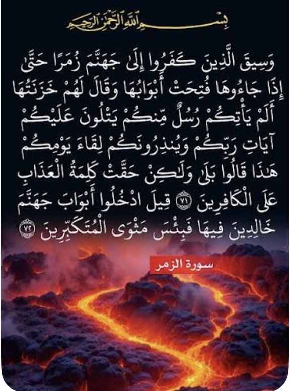 🌸فاطمة أناغيم 🎼القلم📝🌸 tweet media