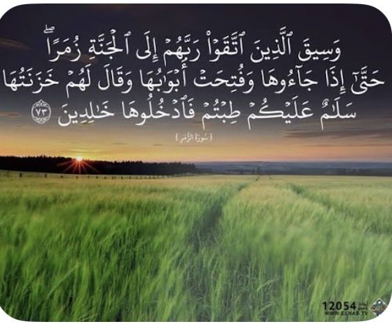🌸فاطمة أناغيم 🎼القلم📝🌸 tweet media