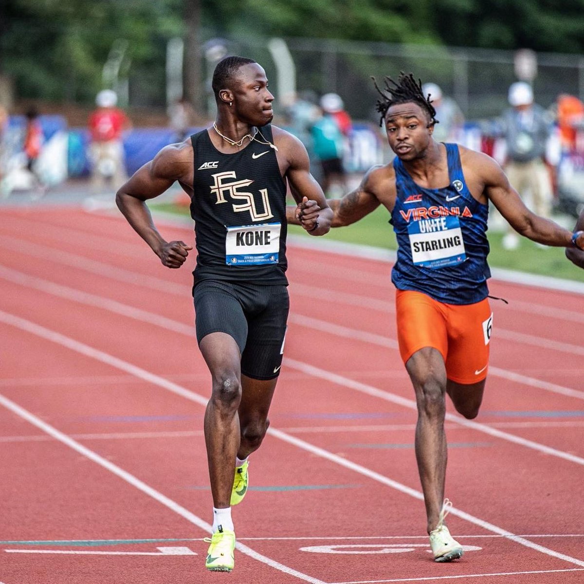 Florida State T&F/XC tweet media