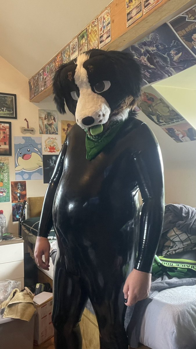 BernieFansAD's tweet photo. Rubber puppy! What y’all think?~ 😘 https://t.co/YLnoL7dQAC