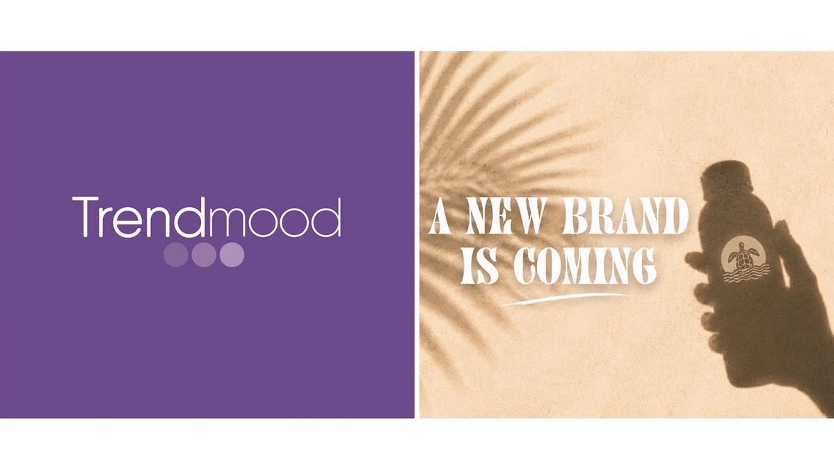 Trendmood tweet media