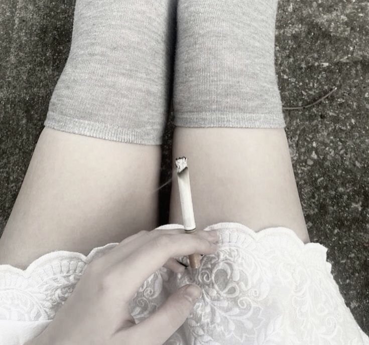 dandelion °❀ ࿔ tweet media