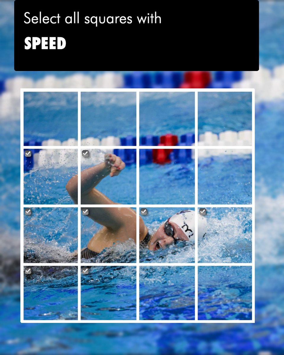 Cincinnati Swim-Dive tweet media