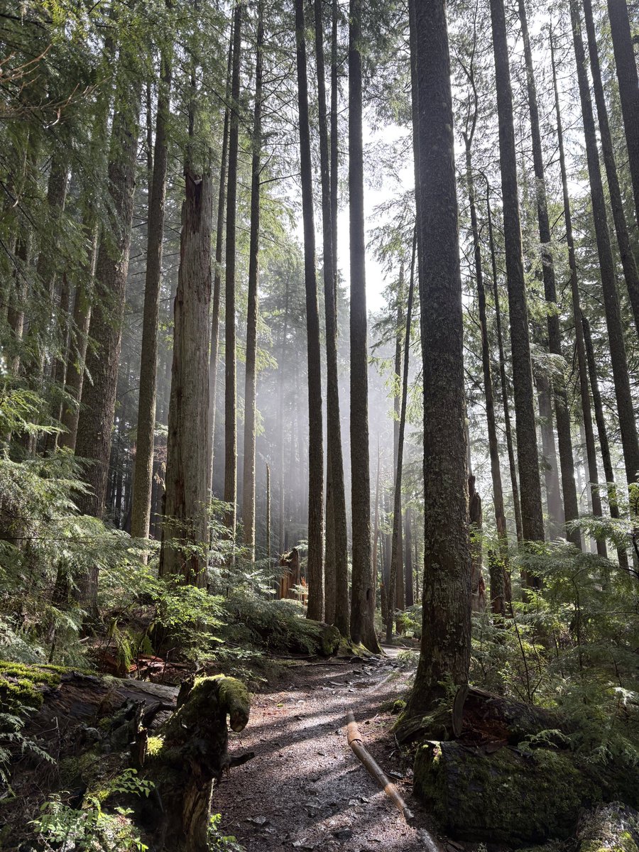 lncurred's tweet photo. Washington is too beautiful during the summer https://t.co/3yviPFGxcH
