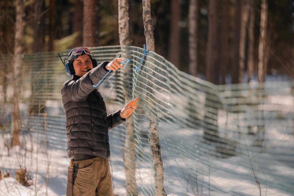 EarthwormGlobal's tweet photo. Reindeer don’t stay within fixed boundaries. Fences are sometimes built to guide herds and corrall herds, especially when conditions change and grazing areas need to shift. https://t.co/eKqaXonLK4
