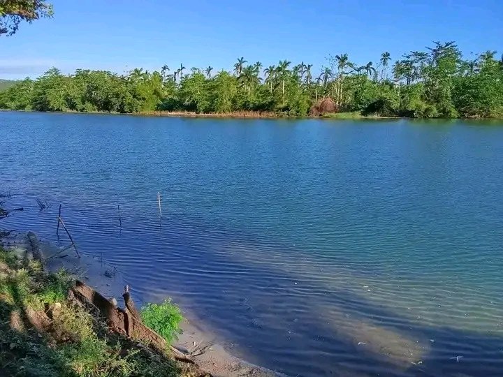 Guantanamo14847's tweet photo. Río Toa 🌿
💚 Donde la naturaleza habla por sí sola…
El río Toa regala paisajes únicos, aguas cristalinas y una aventura imposible de olvidar.
#CubaUnica https://t.co/HkMcAUDDYm
