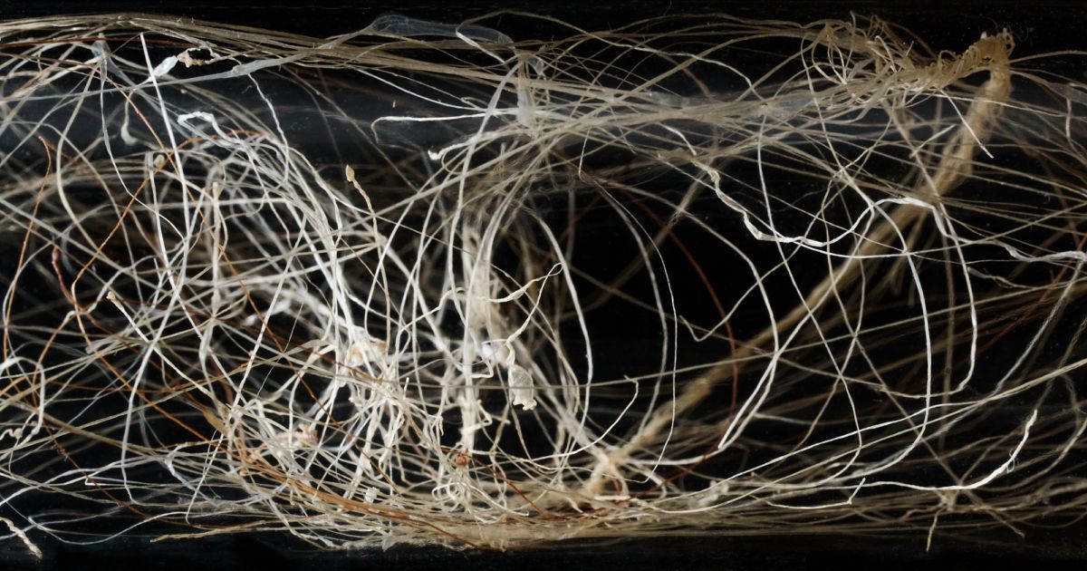 BioTech_Awards's tweet photo. Bezos Earth Fund Teams-Up with Scientists to Reinvent What Clothes… - Bezos Earth Fund

https://t.co/hZl6s8fHU4

#biotech #geneediting #genomeengineering #lifesciences #drugdevelopment #biomedical https://t.co/KnUcBT7rqL