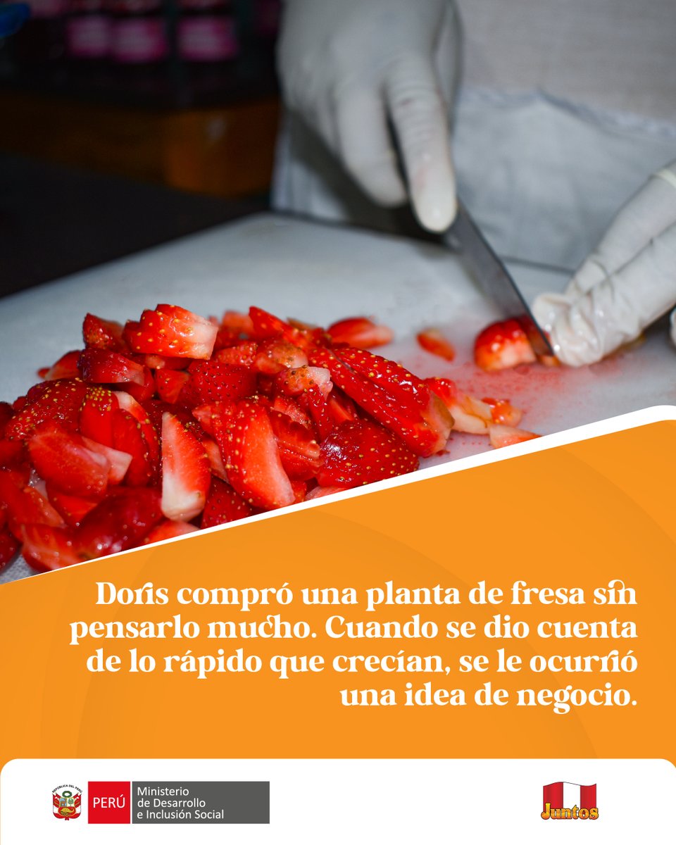 Midisjuntos's tweet photo. Con mucha constancia y ganas de salir adelante, Doris Cuchilla, usuaria del #ProgramaJuntos convirtió el cultivo de fresas 🍓en una oportunidad para emprender y llevar el sabor de su trabajo a más familias, a través de deliciosas mermeladas artesanales. (1/1) 🧵 https://t.co/4GDPNpcXyJ