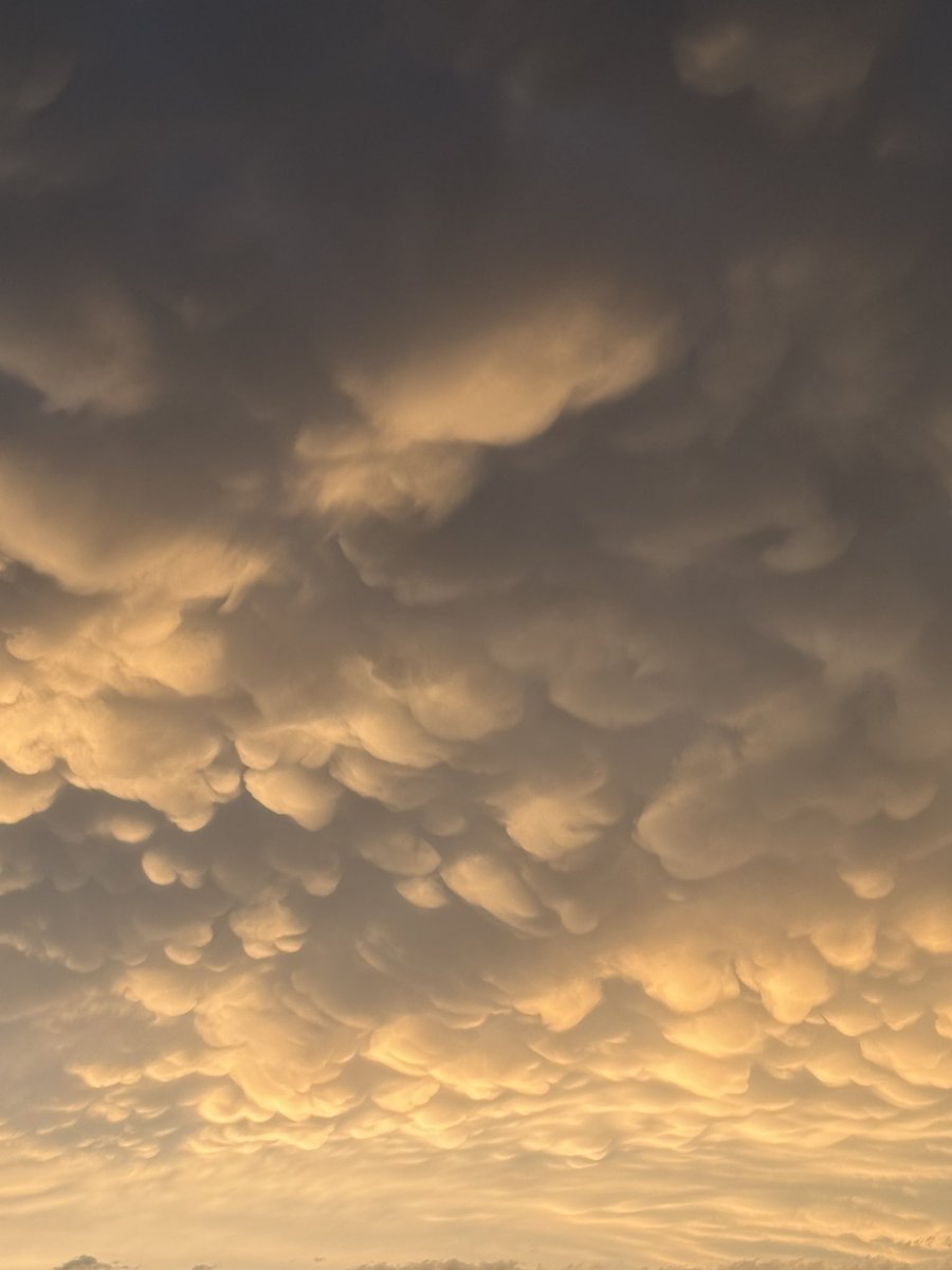 beanstormchase's tweet photo. Some highlights from last night’s chase near Silver Creek NE #newx https://t.co/PEHYalyPB5