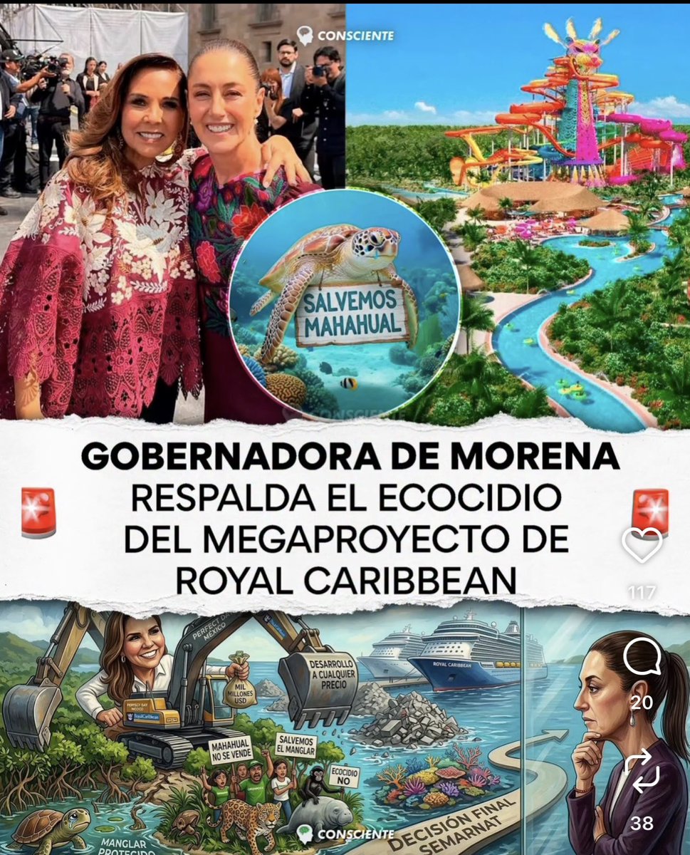 Elena Chávez tweet media