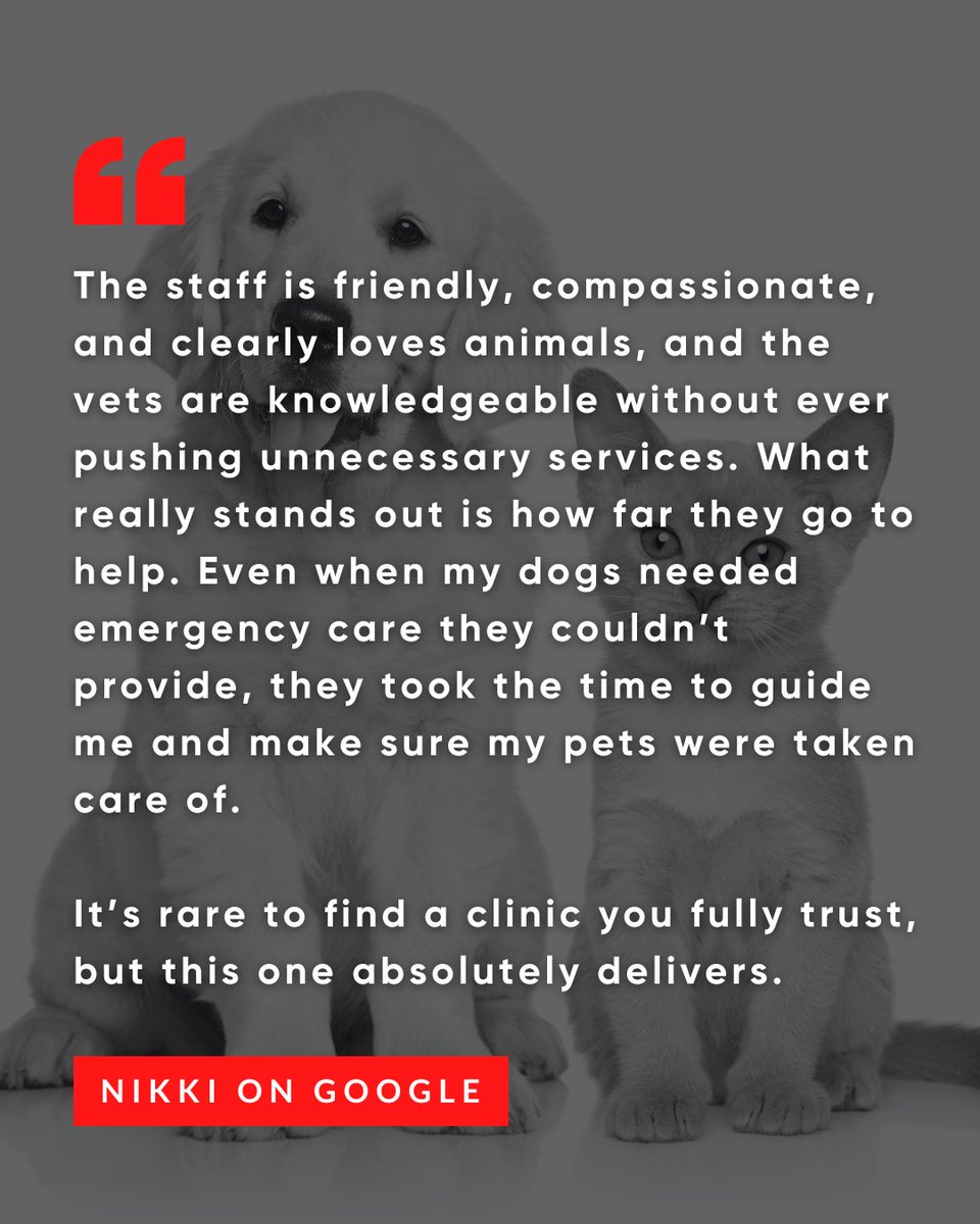 CompanionPetCL's tweet photo. Thank you so much, Nikki!

#HappyClient #VetCare #TrustedVet #CompanionPetClinic #NorthPhoenix https://t.co/cY6SH3t3O9