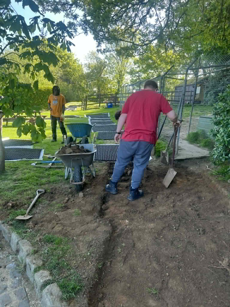 GSPCA's tweet photo. @HowdensJoinery  Team Lend a Helping Hand to Transform GSPCA Shelter Pathways funded by the @CI_Coop  https://t.co/e2m1FkdZ1x https://t.co/GSExaEAlqA