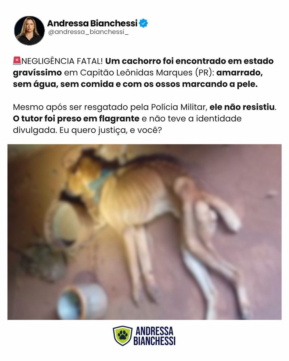 Andressa Bianchessi tweet media