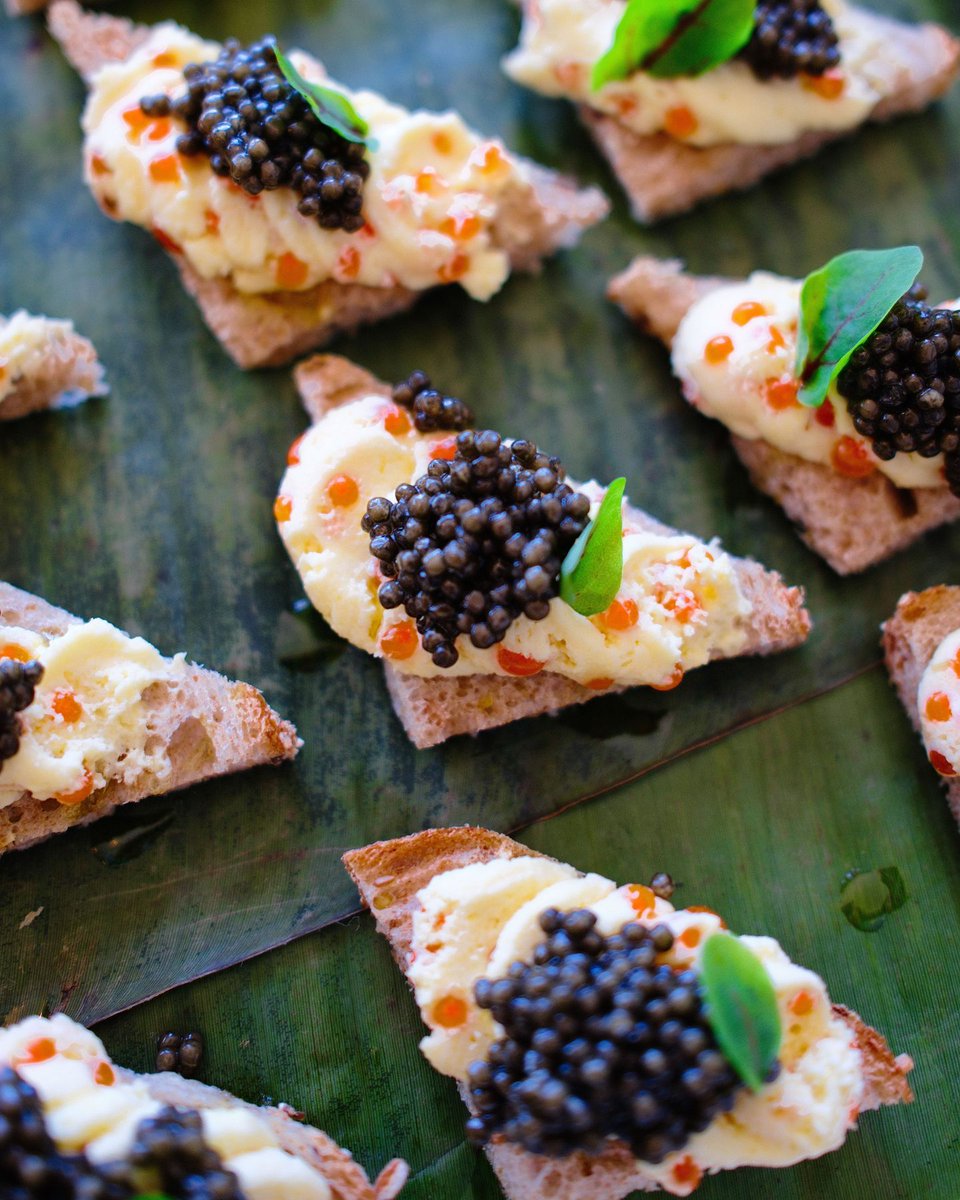 FjordFishMarket's tweet photo. The kind of toast that makes you stop mid-bite. 

Egg, sour cream, butter, 9 grain bread, olive oil, smoked trout roe, salmon roe, and osetra caviar.

Planning something this weekend? Catering orders are open for Memorial Day.

https://t.co/VQ6X55F1So https://t.co/l2DgZUO0F8