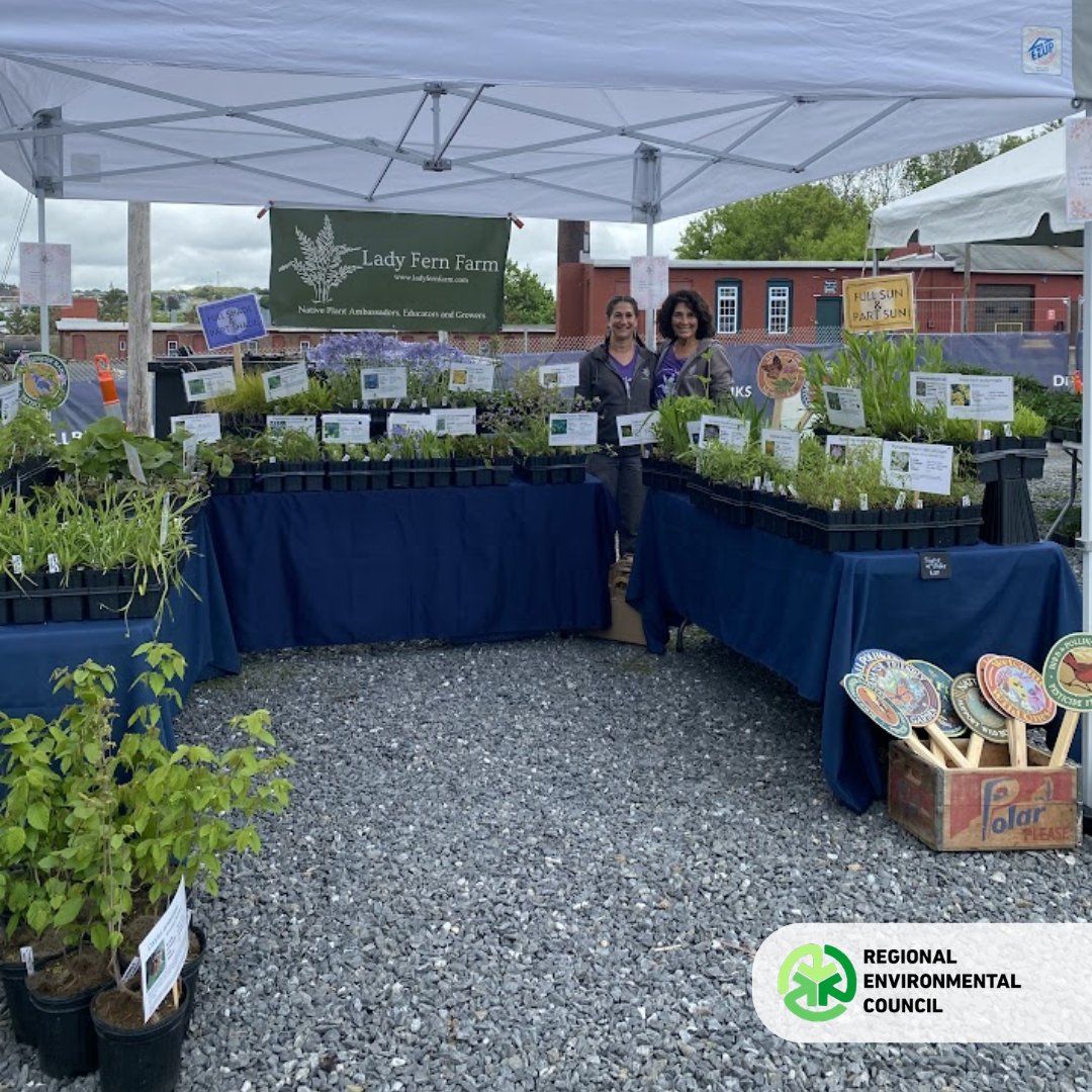 RECWorcester's tweet photo. Our Annual Plant Sale was a success! 🌱

Thank you to the volunteers, customers, vendors, and staff for showing up in support of food sovereignty! 

Check back later this week for our event re-cap video! 
#RECWorcester #PlantSale #foodsoverignty #volunteer #worcester https://t.co/3arJCktZpp