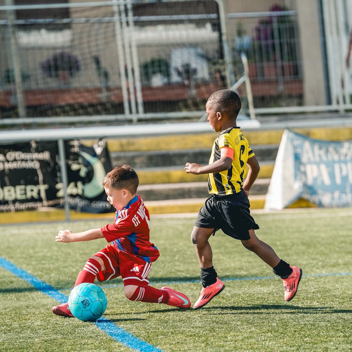 ce_mataro's tweet photo. 📸 | Imatges del partit de l'Escoleta 🆚 @CFMolletUE! 🤩

#CEMataro #ADN🟡⚫️ https://t.co/6aWtOPanEy