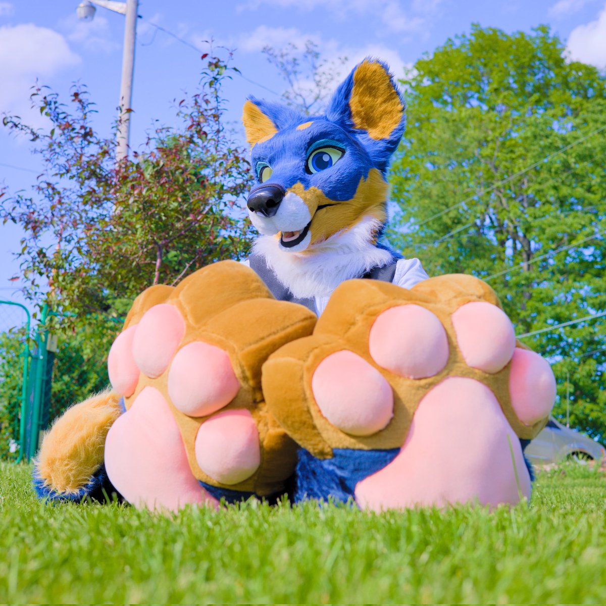 Artemis THE HUSBANDOGGO tweet media