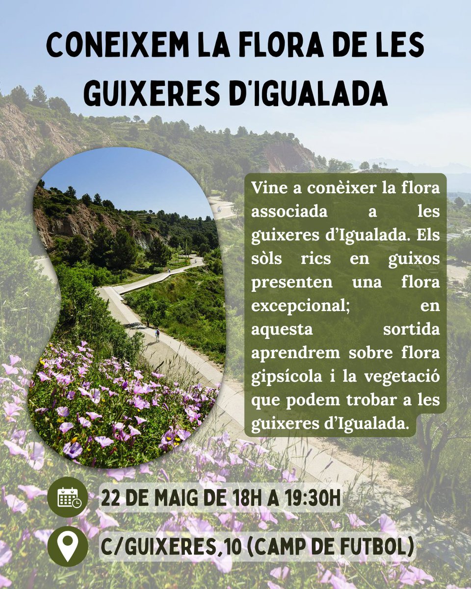PelClima's tweet photo. Arriba la... SETMANA DE LA NATURA 🍃🌍 https://t.co/Rcgyvks4Dr