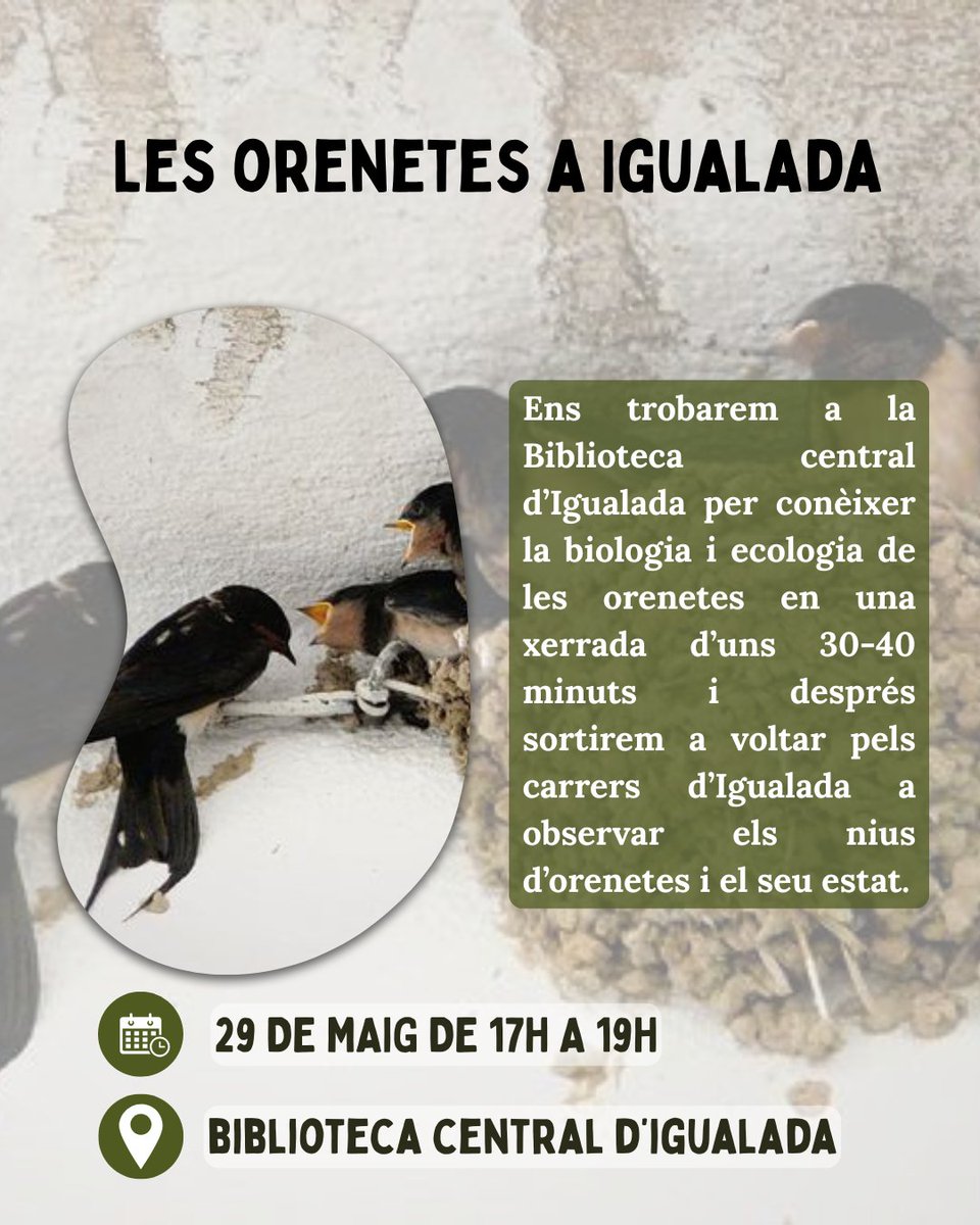 PelClima's tweet photo. Arriba la... SETMANA DE LA NATURA 🍃🌍 https://t.co/Rcgyvks4Dr
