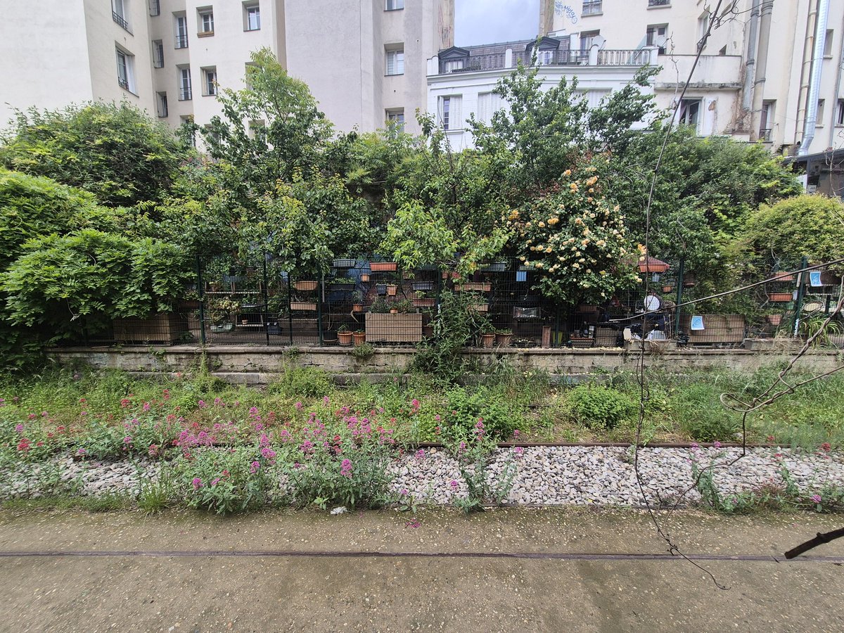 EVDM75007's tweet photo. La #PetiteCeinture vue de la #Recyclerie, anciennement gare de Boulevard Ornano (#Paris18).
@aspcrf https://t.co/WlquSir7T3