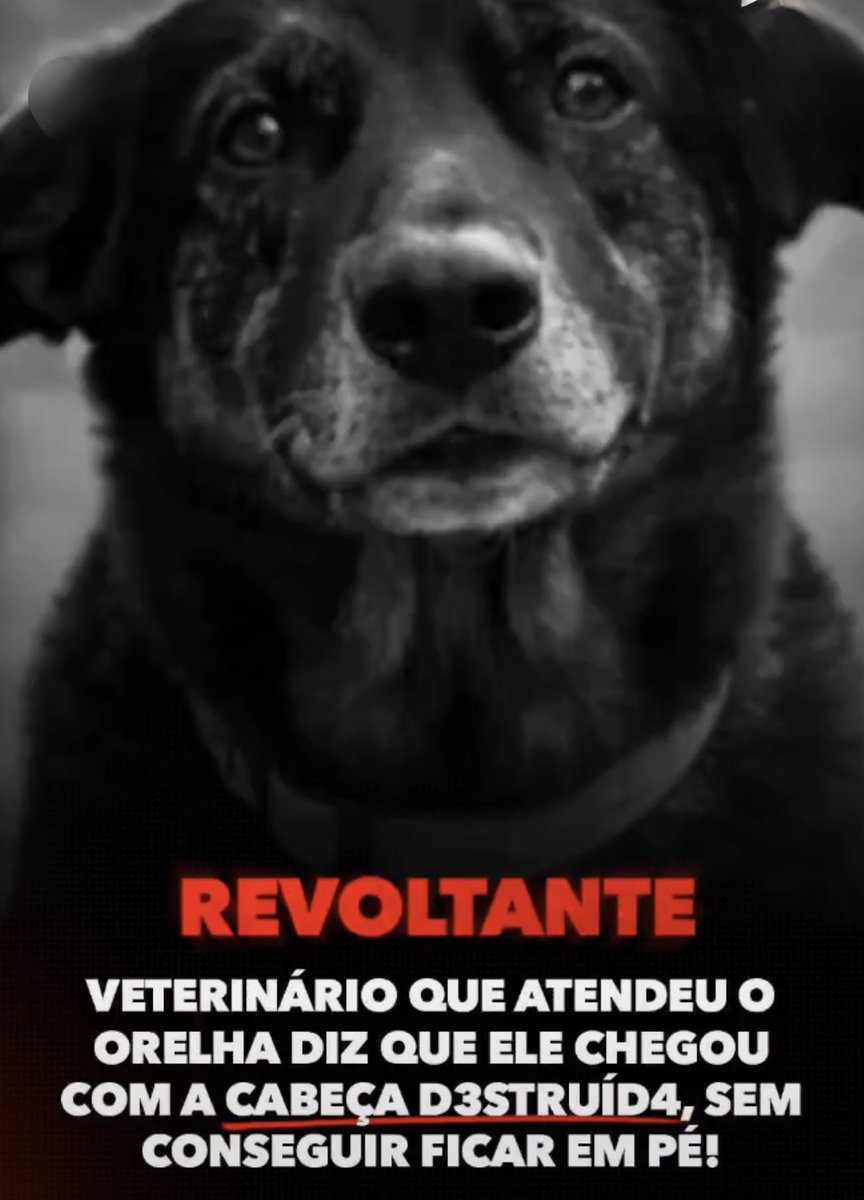 Marco Valverde ® tweet media