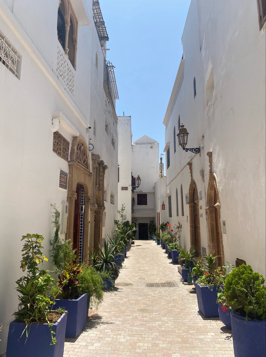 user911717's tweet photo. amoureuse de rabat
#rptouriste https://t.co/yLYZTTFJlh