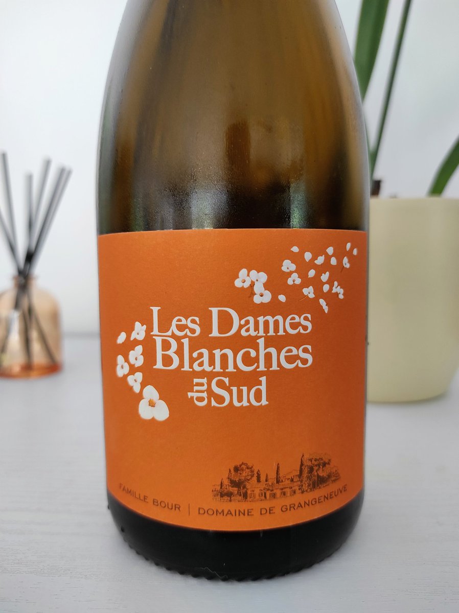 les_ugo's tweet photo. Le Domaine de Grangeneuve, c’est le Sud qui parle sans filtre : des vins solaires, gourmands, sincères, avec la garrigue dans le verre et les vacances en arrière-goût.Vous connaissez beaucoup de bouteilles capables de faire voyager dès la première gorgée ?
https://t.co/VsIomzsn2D https://t.co/lzwq6vbl4t