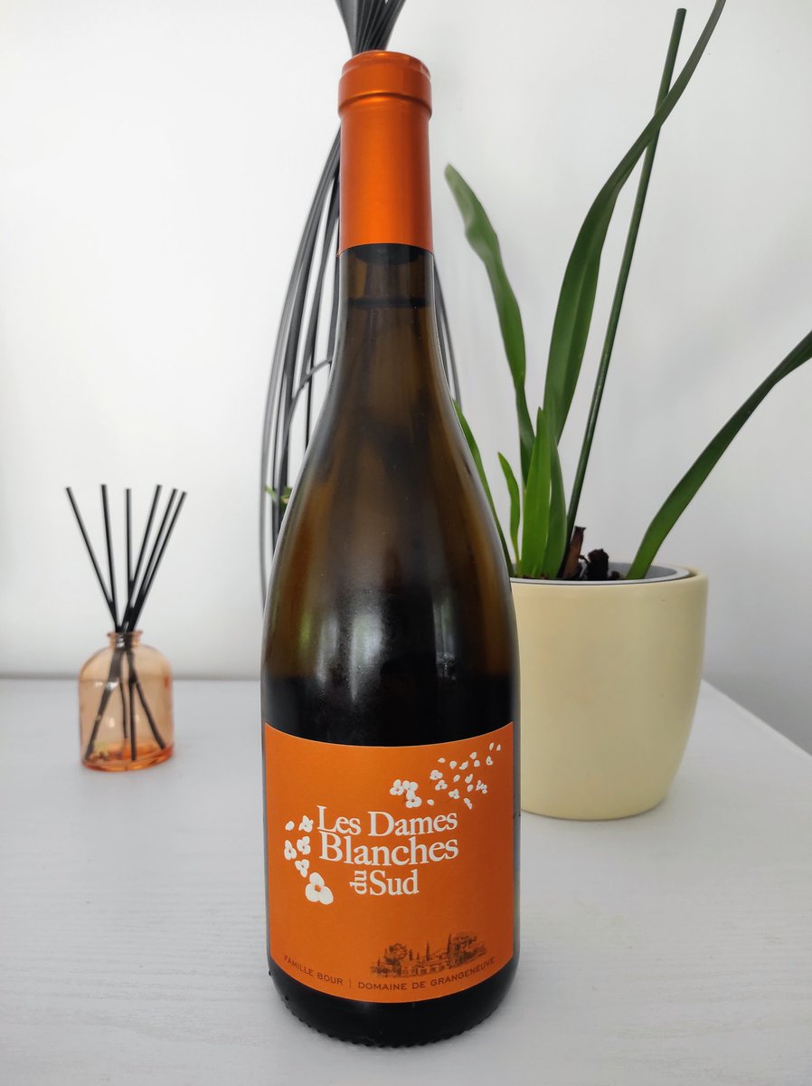 les_ugo's tweet photo. Le Domaine de Grangeneuve, c’est le Sud qui parle sans filtre : des vins solaires, gourmands, sincères, avec la garrigue dans le verre et les vacances en arrière-goût.Vous connaissez beaucoup de bouteilles capables de faire voyager dès la première gorgée ?
https://t.co/VsIomzsn2D https://t.co/lzwq6vbl4t