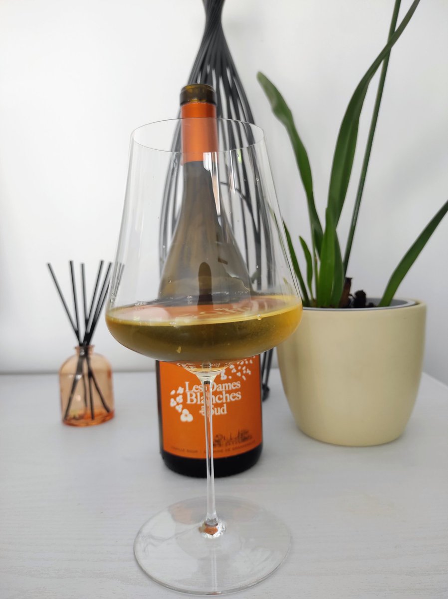 les_ugo's tweet photo. Le Domaine de Grangeneuve, c’est le Sud qui parle sans filtre : des vins solaires, gourmands, sincères, avec la garrigue dans le verre et les vacances en arrière-goût.Vous connaissez beaucoup de bouteilles capables de faire voyager dès la première gorgée ?
https://t.co/VsIomzsn2D https://t.co/lzwq6vbl4t