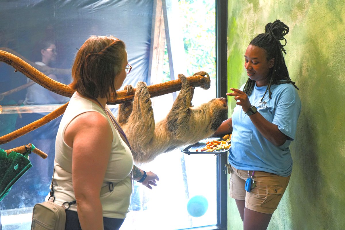 LouisvilleZoo's tweet photo. Take your Zoo visit to the next level 🐾! Our Backstage Pass Tours give you VIP access and the chance to learn how our keepers care for animals and support conservation efforts. Meet Zoo experts, explore off-exhibit spaces, and maybe even get closer to the animals (on their terms!) 🦒✨. 

Every tour is unique, so no two experiences are the same.
Ages 6+ (kids must be accompanied by a ticketed adult). Learn more at https://t.co/bCYrmTSKBl