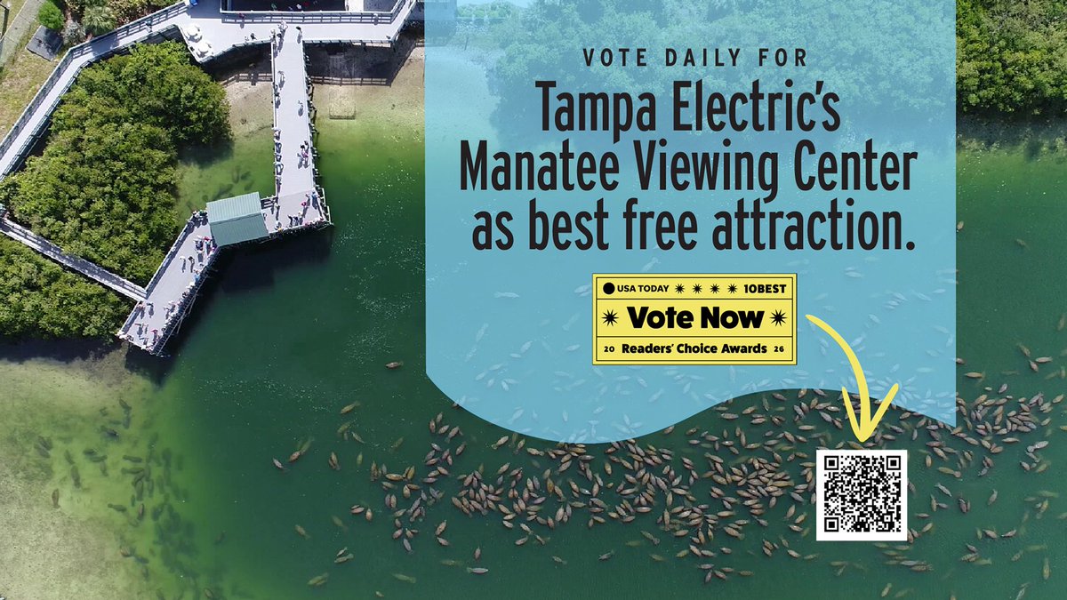 Tampa Electric tweet media
