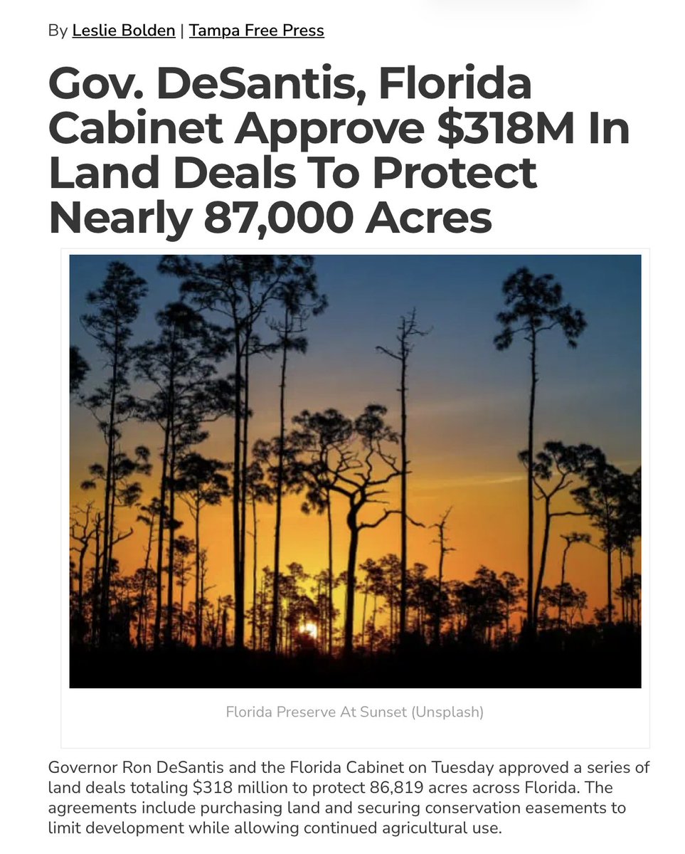 Ron DeSantis tweet media