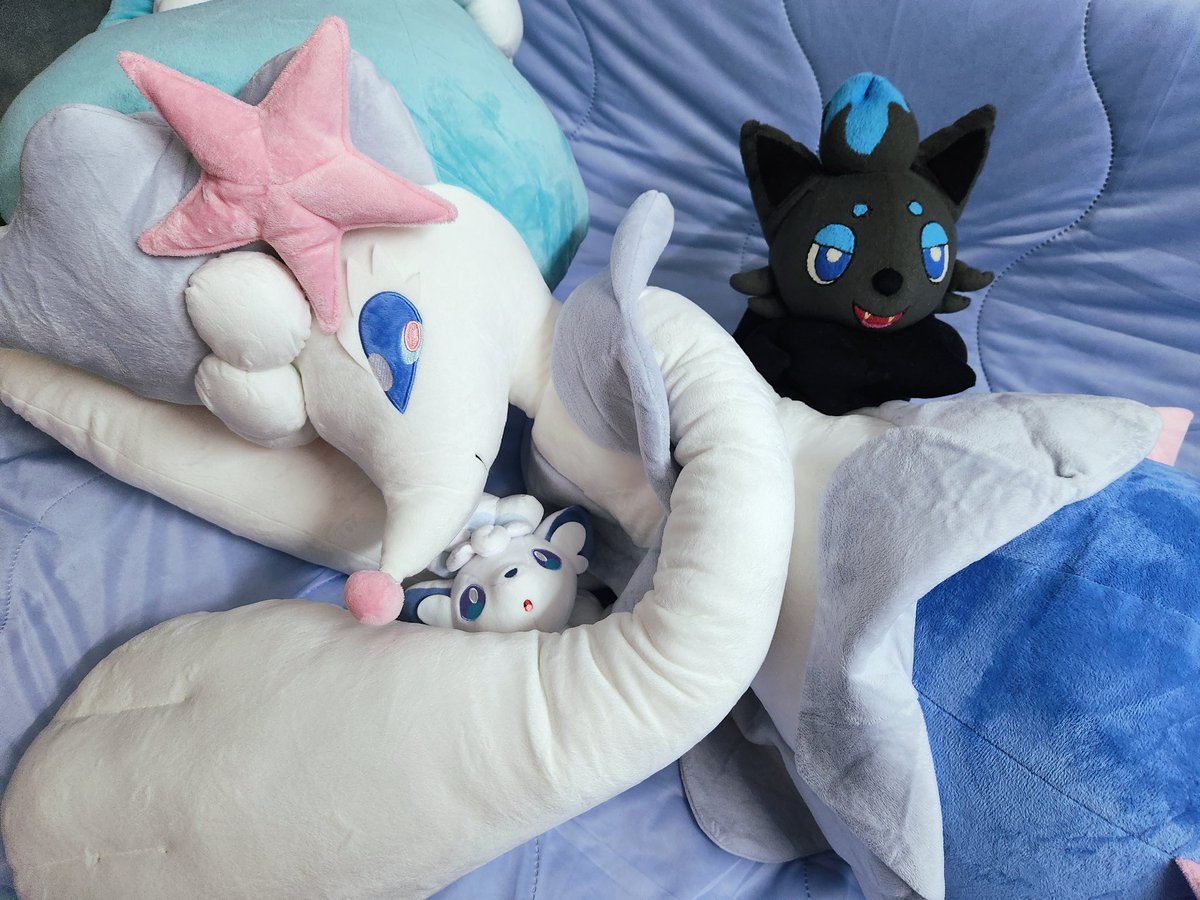 BluezAlex's tweet photo. The queen has arrived in my bed 💙 https://t.co/EhK6IQGavf