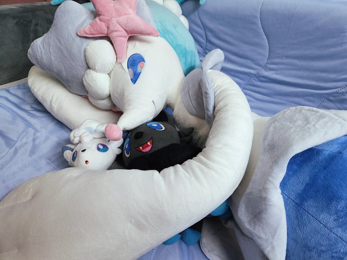 BluezAlex's tweet photo. The queen has arrived in my bed 💙 https://t.co/EhK6IQGavf