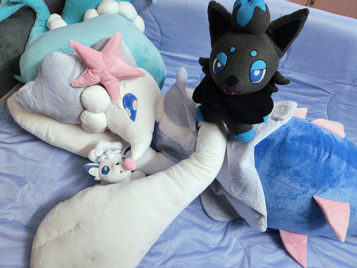 BluezAlex's tweet photo. The queen has arrived in my bed 💙 https://t.co/EhK6IQGavf