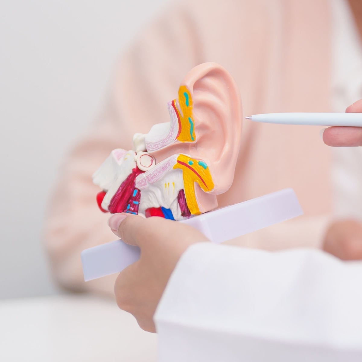 hearingsolution's tweet photo. How much do you know about your hearing loss? Did you know that there are many different types? Visit us online to learn the facts. https://t.co/OiC0eu6i3z https://t.co/wnmhUVji3V