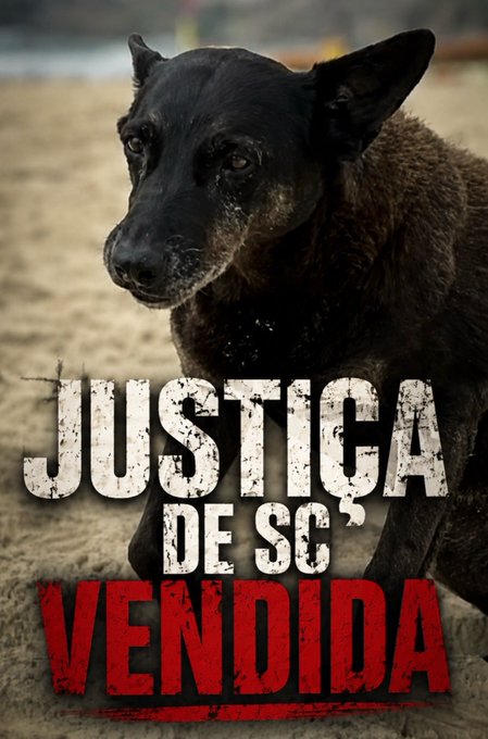 MarivoneLula's tweet photo. TODOS POR ORELHA ...A LUTA SEGUE 

#JustiçaDeSCvendida 

#JustiçaProOrelha https://t.co/J8EjZuOK6i