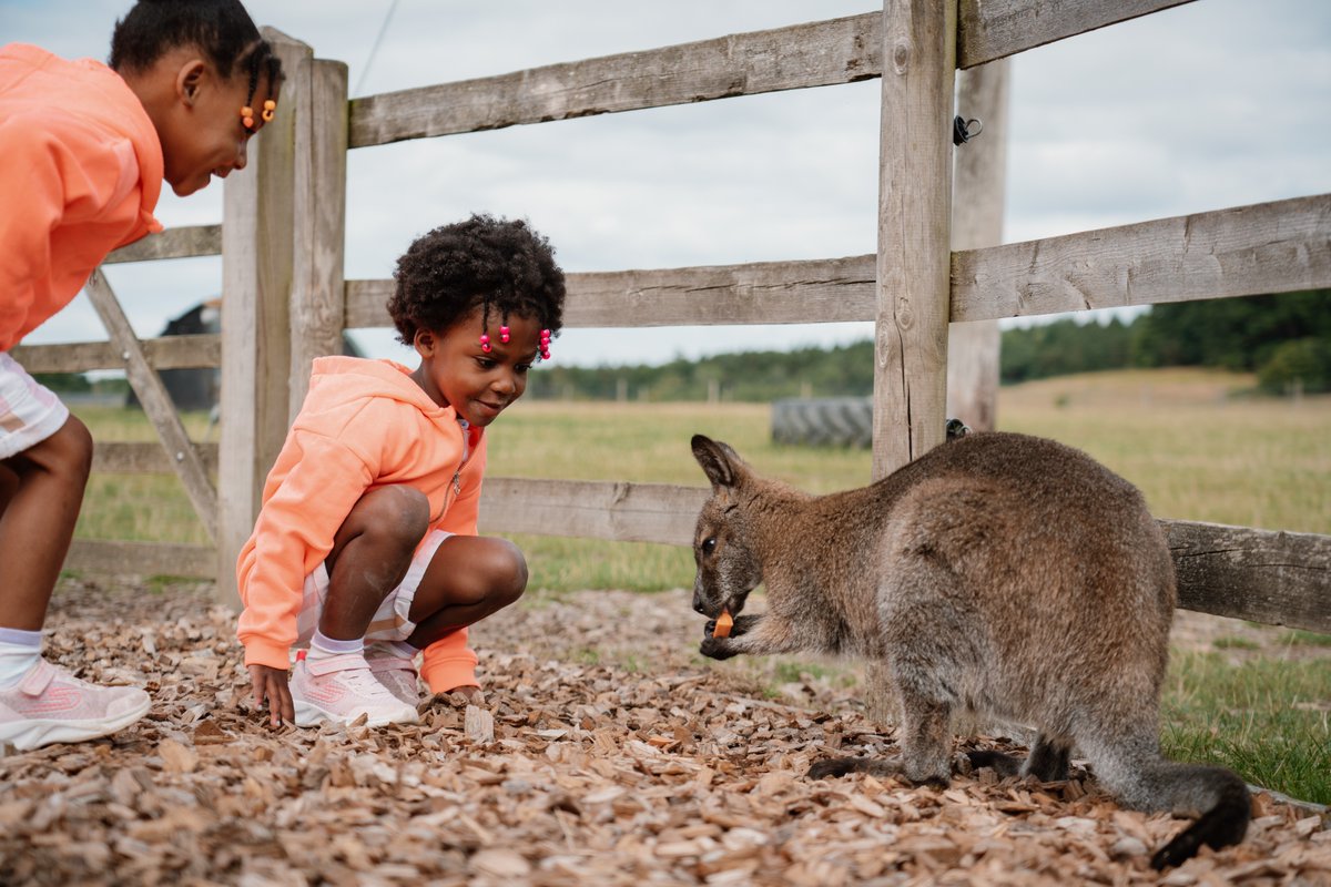 Longleat tweet media
