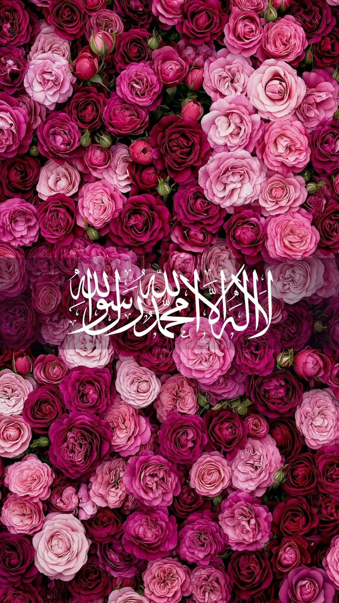 Anonymous768827's tweet photo. اپنے ایمان کی تجدید کیا کرو۔”
عرض کیا گیا:
“یا رسولَ ال��ہ ﷺ! ہم اپنے ایمان کی تجدید کیسے کریں؟”
آپ ﷺ نے فرمایا:
“کثرت سے 
‘لا إلهَ إلا الله’ پڑھا کرو۔ https://t.co/c8xIcMVRZf