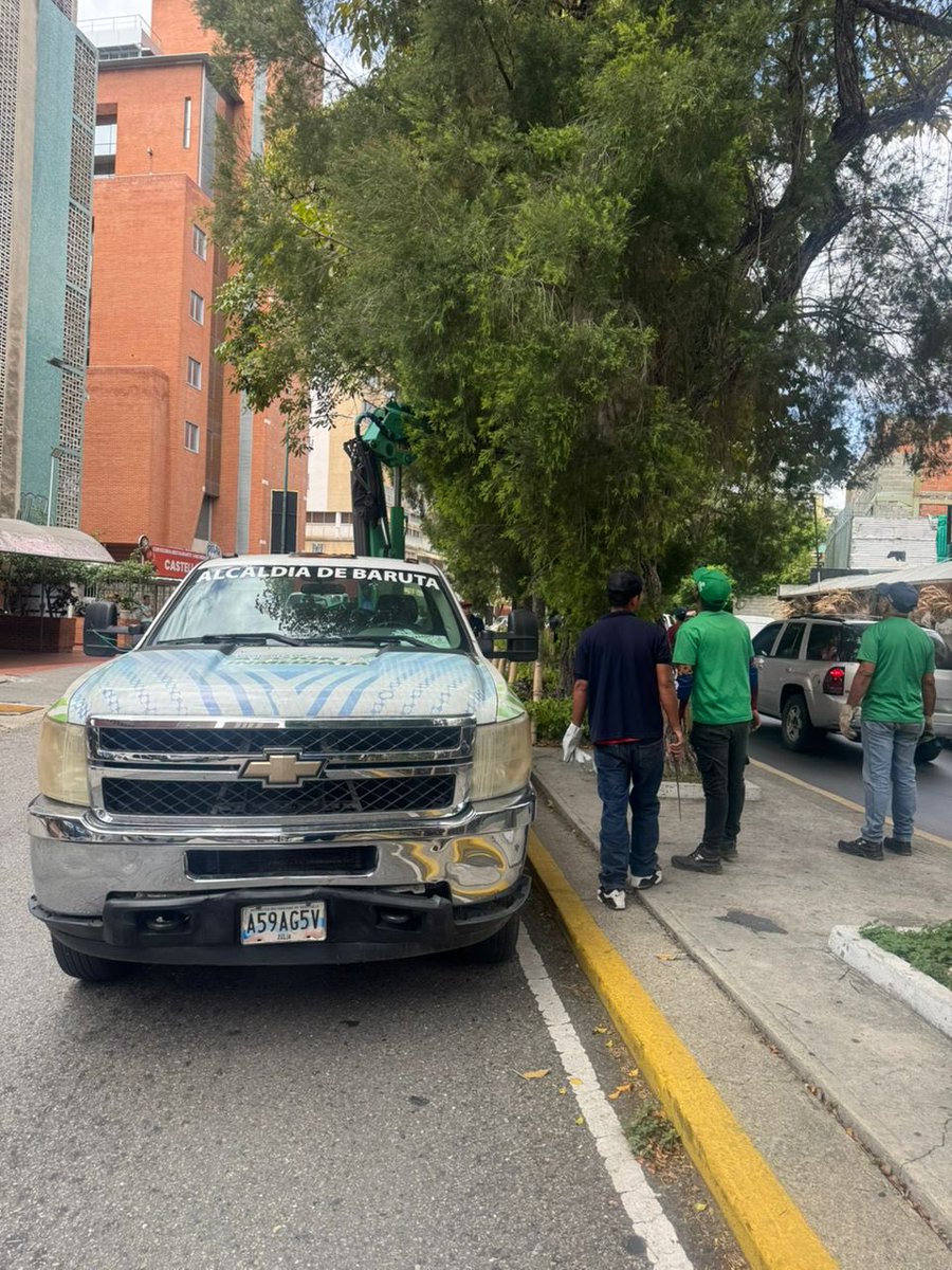 AlcaldiaBaruta's tweet photo. ¡Feliz inicio de semana, baruteños!🍃
Las cuadrillas de #AcciónInmediata se encuentran desplegadas realizando labores de:
🍃Desmalezado y limpieza:
📍Urb. #ElPlacer
📍Urb. #AltoPrado
🚧Poda de despeje:
📍Urb. #ColinasdeBelloMonte
🍃Saneamiento Ambiental:
📍Sector. #ElPeñon https://t.co/forv0GhwHx